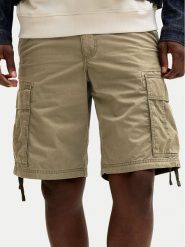 Jack & Jones Szorty materiałowe Cole Frank 12291369 Zielony Regular Fit. Zielone szorty męskie Jack & Jones, bez wzorów, z bawełny. Za 159.99 zł.