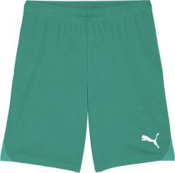 Puma Spodenki męskie Team Goal zielone 705752 05 L. Zielone szorty sportowe męskie Puma, bez wzorów, sportowe. Za 149.76 zł.
