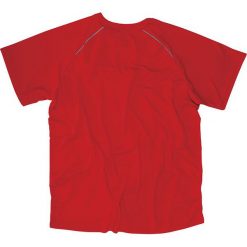Spokey Spokey BECOOL 60 MAN - Koszulka termoaktywna męska; r. XXL - 833644. Bielizna termoaktywna męska marki Spokey. Za 32.71 zł.