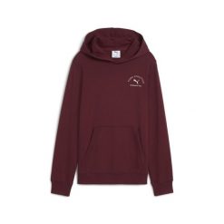 Młodzieżowa bluza z kapturem PUMA Class z grafiką PUMA Ruby Shimmer Red. Czerwona bluzy nierozpinane męskie Puma, m, bez wzorów, z kapturem. Za 229.00 zł.