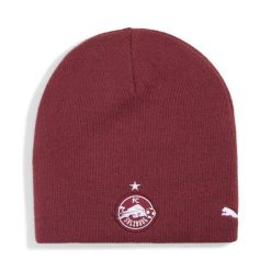 Czapka dwustronna FC Red Bull Salzburg PUMA Flat Dark Gray Team Regal Red. Czerwone czapki męskie Puma, bez wzorów, sportowe. Za 109.00 zł.