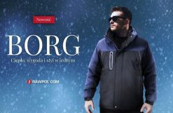 Kurtka męska R.E.I.S. BORG - Kurtka męska ochronna ocieplana odblaski zamek błyskawiczny napy stójka odsuwany kaptur z polarową podszewką 100% poliest. Brązowe kurtki męskie R.E.I.S., m, bez wzorów, z polaru, bez ramiączek, bez kaptura. Za 127.82 zł.