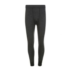 Legginsy Whistler Bradley. Szare bielizna termoaktywna męska Whistler, m, bez wzorów, bez ramiączek, narciarskie. Za 233.50 zł.