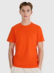 4F T-shirt regular z nadrukiem męski - pomarańczowy M. Brązowe t-shirty męskie 4f, m, bez wzorów, z bawełny, bez kołnierzyka, bez ramiączek. W wyprzedaży za 39.99 zł.