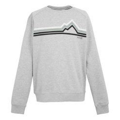 Męska Bluza Z Okrągłym Dekoltem Nithsdale Linear Mountain. Szare bluzy nierozpinane męskie Regatta, m, bez wzorów, sportowe, bez ramiączek, bez kaptura. Za 75.99 zł.
