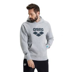 Bluza Arena Hooded Sweat Logo z kapturem. Szare bluzy nierozpinane męskie ARENA, m, bez wzorów, z bawełny, bez ramiączek, z kapturem. Za 319.99 zł.