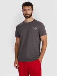 4F T-shirt regular z nadrukiem męski - szary 3XL. Szare t-shirty sportowe męskie 4f, m, bez wzorów, z bawełny, klasyczne, bez ramiączek. Za 49.99 zł.