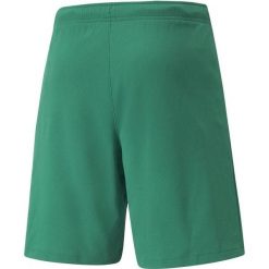 Spodenki Puma teamRISE zielone. Białe szorty sportowe męskie Puma, bez wzorów, sportowe. Za 65.09 zł.