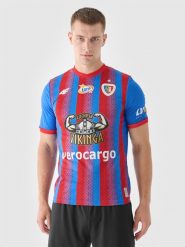 4F Koszulka klubowa domowa z sezonu 2024/25 męska 4F x Piast Gliwice - multikolor 3XL. Czerwone t-shirty męskie 4f, m, bez wzorów, z dzianiny, bez kołnierzyka, bez ramiączek. Za 259.99 zł.