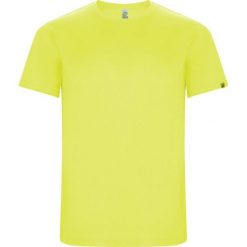 Męska Koszulka Sportowa Imola Z Krótkim Rękawem. Żółte t-shirty sportowe męskie ROLY, m, bez wzorów, sportowe, bez ramiączek. Za 33.99 zł.