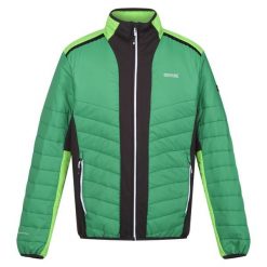 Męska Kurtka Halton VII Contrast Panel Baffled Padded Jacket. Zielone kurtki męskie Regatta, m, bez wzorów, z puchu, sportowe, bez ramiączek, bez kaptura. Za 137.99 zł.