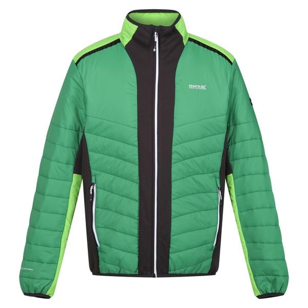 Męska Kurtka Halton VII Contrast Panel Baffled Padded Jacket. Zielone kurtki męskie Regatta, m, bez wzorów, z puchu, sportowe, bez ramiączek, bez kaptura. Za 137.99 zł.