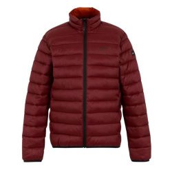 Kurtka puchowa Regatta Marizion. Brązowe kurtki męskie Regatta, bez wzorów, z puchu, sportowe, bez ramiączek, bez kaptura. Za 129.99 zł.