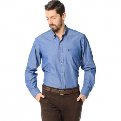 Koszula w kolorze niebieskim. Niebieskie koszule męskie AVVA, Dewberry, button down. Za 129.95 zł.