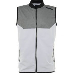 Under Armour UNSTOPPABLE GORE BOMBER VEST Kamizelka charcoal/overcast gray/black. Kamizelki męskie marki Under Armour. W wyprzedaży za 407.20 zł.