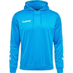 Bluza do piłki ręcznej męska Hummel hml PROMO Poly z kapturem. Niebieskie bluzy nierozpinane męskie HUMMEL, m, bez wzorów, z kapturem. Za 152.50 zł.