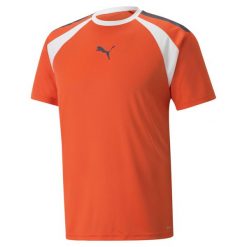 Koszulka sportowa męska Puma Teamliga. Brązowe t-shirty sportowe męskie Puma, l, bez wzorów, z poliesteru, sportowe, bez ramiączek. Za 139.99 zł.
