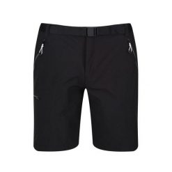 Shorty Męskie Rozciągliwa Xert III. Szare szorty sportowe męskie Regatta, bez wzorów, sportowe. Za 124.99 zł.