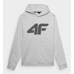 Bluza męska 4F. Szare bluzy nierozpinane męskie 4f, m, bez wzorów, bez ramiączek, bez kaptura. Za 161.99 zł.