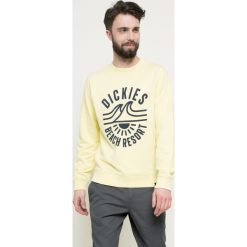 Dickies - Bluza. Bluzy nierozpinane męskie marki Dickies. W wyprzedaży za 139.90 zł.