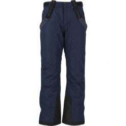 Spodnie narciarskie męskie Fairfax W-PRO 10000. Czarne spodnie narciarskie i snowboardowe męskie Whistler, bez wzorów, narciarskie. Za 299.99 zł.