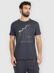 4F T-shirt regular z nadrukiem męski - szary L. Szare t-shirty męskie 4f, l, bez wzorów, z bawełny, bez kołnierzyka, bez ramiączek. Za 69.99 zł.