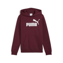 Młodzieżowa polarowa bluza z kapturem ESS z logo No. 1 PUMA Ruby Shimmer Red. Czerwona bluzy z kapturem męskie Puma, m, bez wzorów, z dżerseju, z kapturem. Za 159.00 zł.
