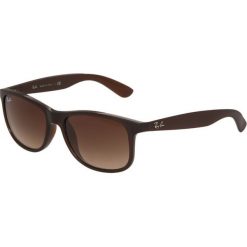 RayBan ANDY Okulary przeciwsłoneczne braun. Brązowe okulary przeciwsłoneczne męskie Ray-Ban. Za 469.00 zł.