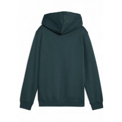 Młodzieżowa polarowa bluza z kapturem ESS z logo No. 1 PUMA Green Terrain. Zielona bluzy z kapturem męskie Puma, m, bez wzorów, z dżerseju, z kapturem. Za 159.00 zł.