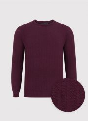 PAKO LORENTE – Męski sweter w kolorze burgundowym. Czerwone swetry męskie Pako Lorente, bez wzorów, z bawełny, bez kołnierzyka, bez ramiączek. Za 89.99 zł.