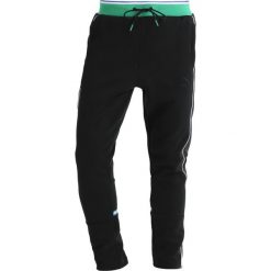 Puma BIG SEAN TRACK Spodnie treningowe puma black. Długie spodnie sportowe męskie Puma. Za 379.00 zł.