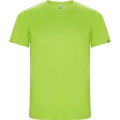 Męska Koszulka Sportowa Imola Z Krótkim Rękawem. Zielone t-shirty sportowe męskie ROLY, m, bez wzorów, sportowe, bez ramiączek. Za 33.99 zł.
