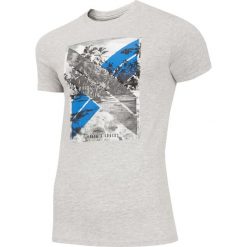 T-shirt męski TSM025A - chłodny jasny szary melanż. T-shirty męskie marki 4f. Za 44.99 zł.