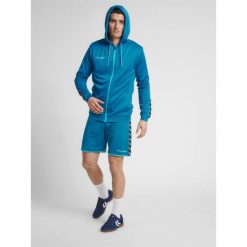 Bluza fitness męska Hummel zip hml AUTHENTIC Poly. Niebieskie bluzy nierozpinane męskie HUMMEL, m, bez wzorów, sportowe, bez ramiączek, bez kaptura. W wyprzedaży za 177.00 zł.