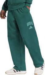 Spodnie męskie adidas Collegiate zielone JM9178 XL. Zielone długie spodnie sportowe męskie ADIDAS, bez wzorów. Za 361.56 zł.