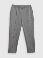 4F Spodnie dresowe męskie - szare L. Szare spodnie dresowe męskie 4f, bez wzorów, z bawełny. Za 199.99 zł.