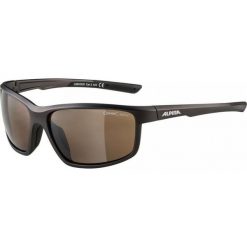 Okulary przeciwsłoneczne Alpina Defey tin. Czarne okulary przeciwsłoneczne męskie Alpina, bez wzorów, sportowe. Za 99.99 zł.