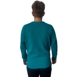 Bluza Sportowa Męska Puma Spacer Crew. Zielone bluzy nierozpinane męskie Puma, m, bez wzorów, casualowe, bez ramiączek, bez kaptura. Za 215.60 zł.