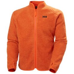 Bluza Helly Hansen Box 2.0. Brązowe bluzy nierozpinane męskie Helly Hansen, bez wzorów, biznesowe, bez ramiączek, bez kaptura. Za 567.50 zł.