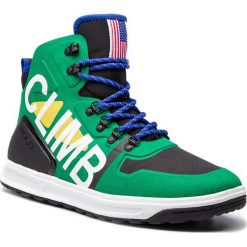 Sneakersy POLO RALPH LAUREN - Alpine200 809720512002 Green Mu. Buty sportowe na co dzień męskie marki Polo Ralph Lauren. W wyprzedaży za 509.00 zł.