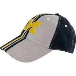 Czapka Unisex z Bawełny Michigan State dla Fanów. Fioletowe czapki męskie Mountain Warehouse, bez wzorów, z bawełny, eleganckie. Za 170.99 zł.