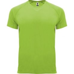 Męska Koszulka Sportowa Z Krótkim Rękawem Bahrain. Szare t-shirty sportowe męskie ROLY, m, bez wzorów, sportowe, bez ramiączek. Za 25.99 zł.