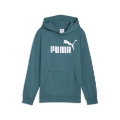 Młodzieżowa polarowa bluza z kapturem ESS z logo No. 1 PUMA. Szara bluzy z kapturem męskie Puma, m, bez wzorów, z dżerseju, z kapturem. Za 149.00 zł.