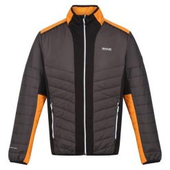 Męska Kurtka Halton VII Contrast Panel Baffled Padded Jacket. Brązowe kurtki męskie Regatta, m, bez wzorów, z puchu, sportowe, bez ramiączek, bez kaptura. Za 161.99 zł.