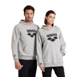 Bluza Arena Arena Hooded Sweat Graphic z kapturem. Szare bluzy z polaru męskie ARENA, xs, bez wzorów, z bawełny, sportowe, bez ramiączek, z kapturem. Za 269.99 zł.
