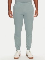 Puma Spodnie dresowe Ess 684714 Zielony Regular Fit. Zielone spodnie dresowe męskie Puma, bez wzorów, z bawełny. Za 129.99 zł.