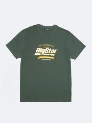 Koszulka męska z nadrukiem zielona Briss 304. Zielone t-shirty męskie Big Star, l, bez wzorów, z bawełny, bez kołnierzyka, bez ramiączek. Za 99.99 zł.