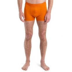 Bokserki Męskie Icebreaker Anatomica Cool-Lite. Brązowe bokserki męskie Icebreaker, m, bez wzorów, z wełny. Za 139.99 zł.