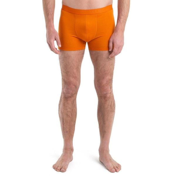 Bokserki Męskie Icebreaker Anatomica Cool-Lite. Brązowe bokserki męskie Icebreaker, m, bez wzorów, z wełny. Za 139.99 zł.