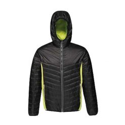 Kurtka Ocieplana Męska Lake Placid. Czarne kurtki męskie Regatta, m, bez wzorów, z puchu, sportowe, bez ramiączek, bez kaptura. Za 183.99 zł.